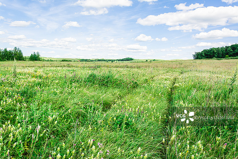 阳光明媚的夏日草地上的轻轨列车图片素材