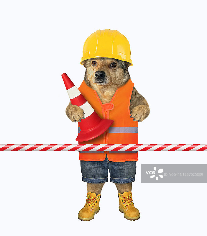 小狗拿着交通锥图片素材