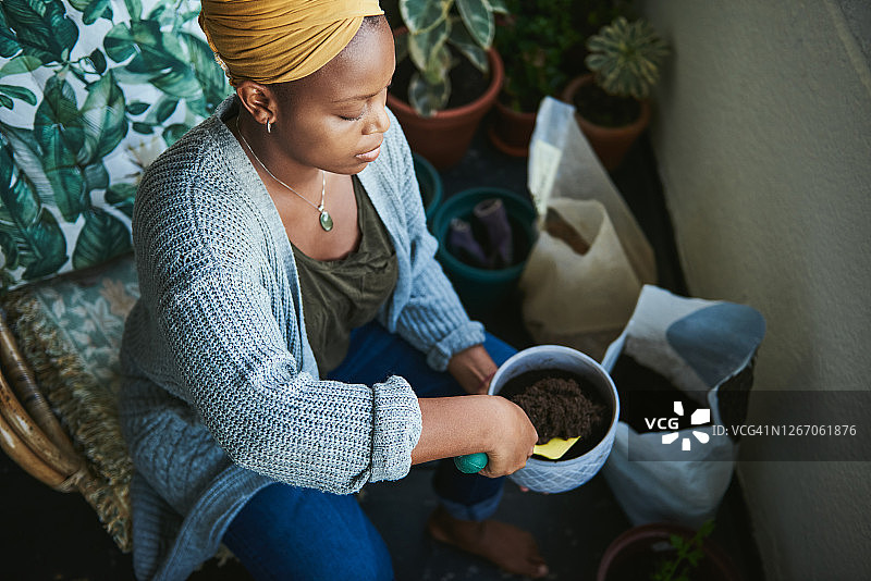 植物为甜蜜的家增添甜蜜图片素材