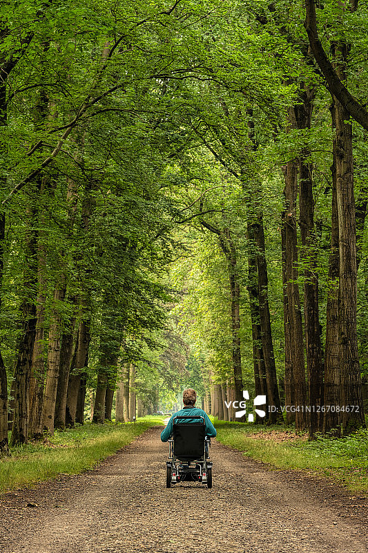 坐在轮椅上，走在森林绿树成荫的小路上的用户的背影图片素材