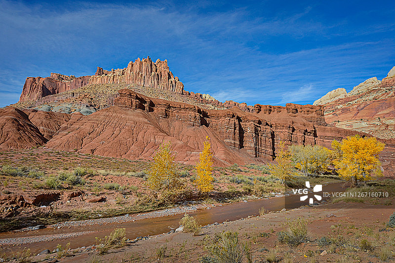 美国犹他州圆顶礁国家公园弗里蒙特河沿岸的秋叶图片素材