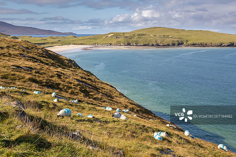 哈里斯岛海湾风光，外赫布里底群岛，苏格兰图片素材