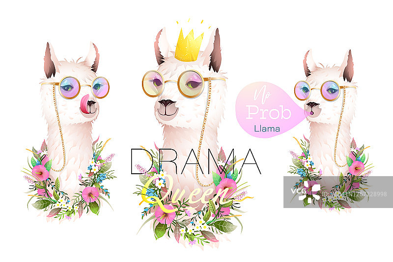 美洲驼主题设计合集图片素材