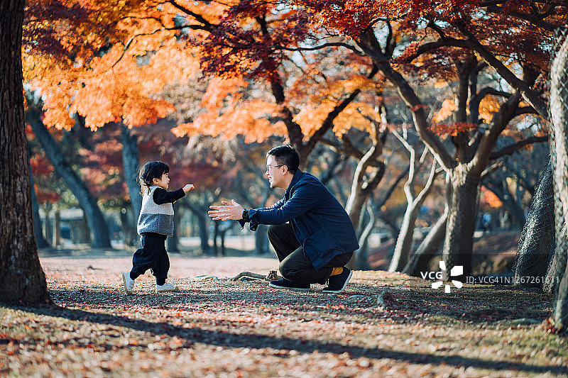 在秋日公园里奔向父亲的可爱亚洲女童图片素材