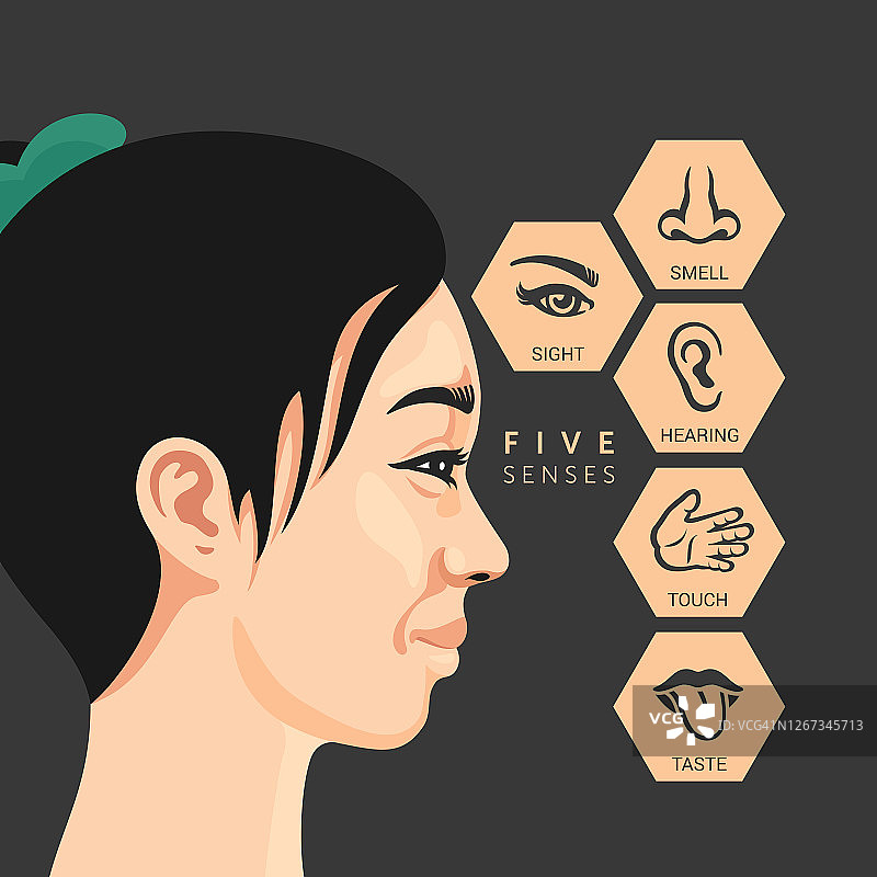 五种感官图片素材