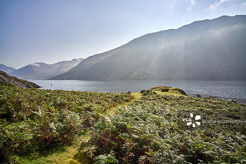 清晨在沃斯特湖上划桨板的人图片素材