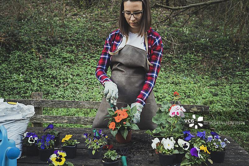 鲜花环绕图片素材