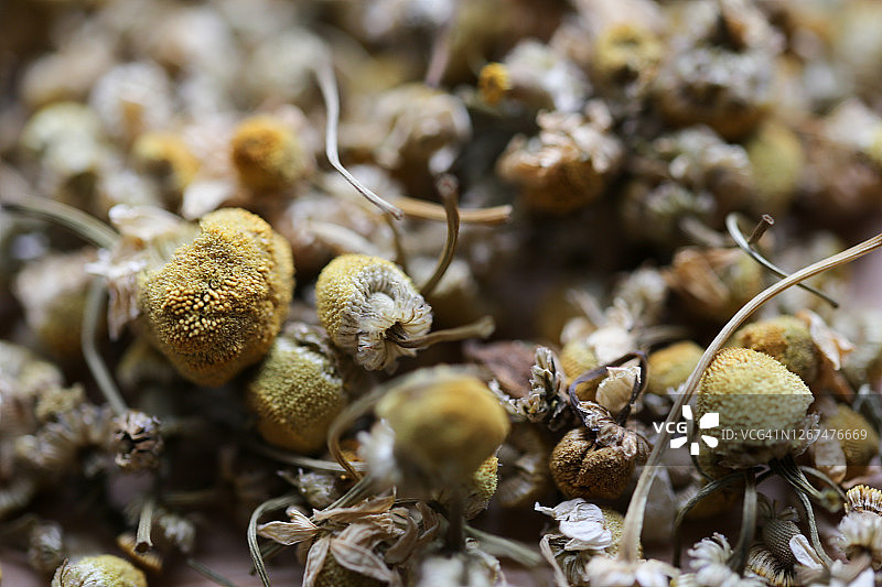 洋甘菊茶图片素材