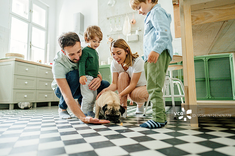 与小狗的早晨图片素材