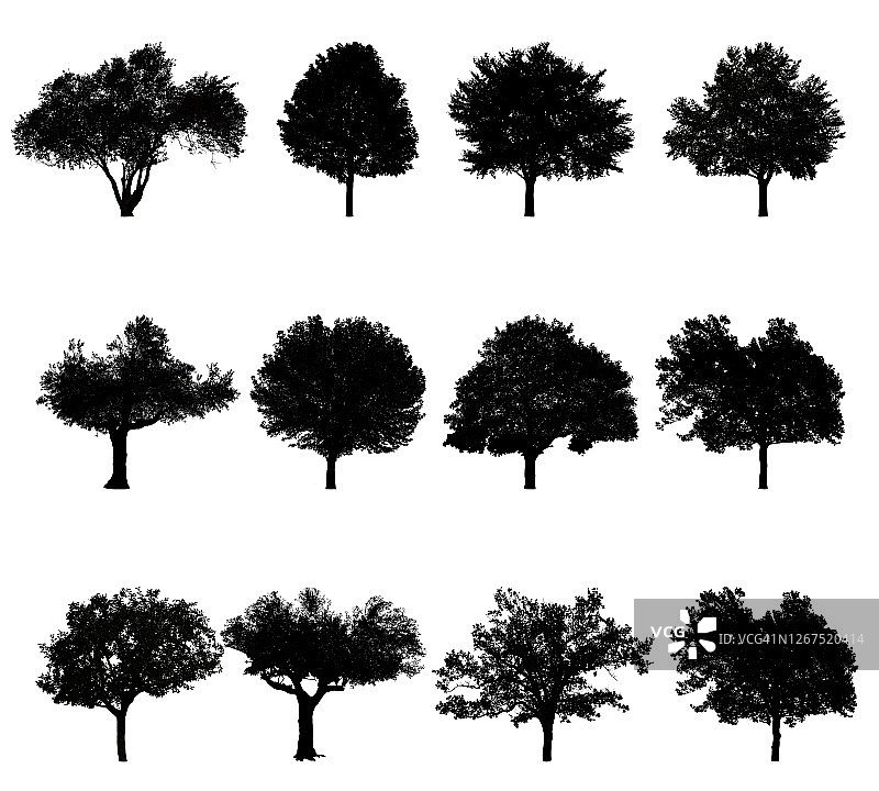 白色背景上的各种黑色树木轮廓图片素材