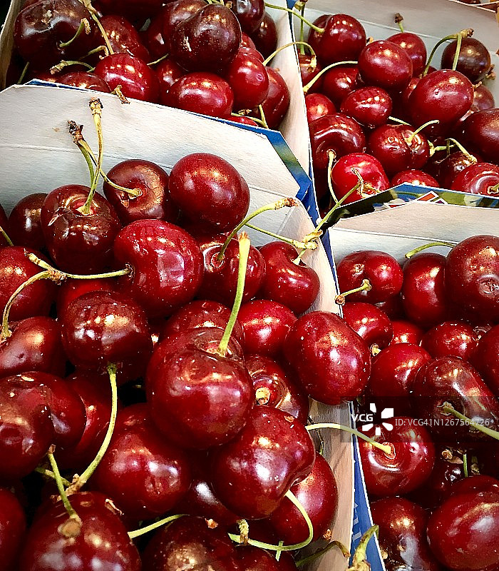 刚采摘的密歇根州樱桃篮图片素材
