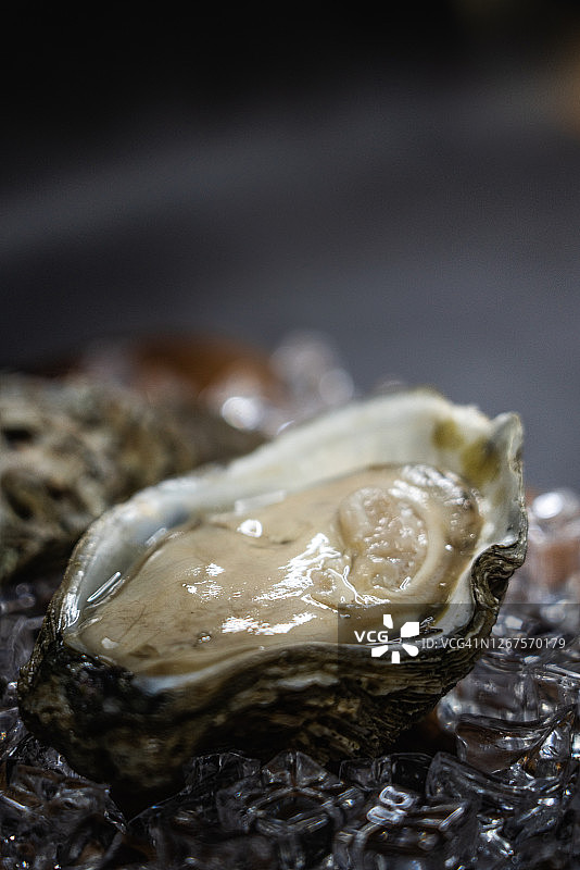 冰镇生蚝图片素材