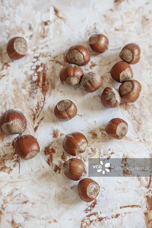 白色背景上的榛子图片素材