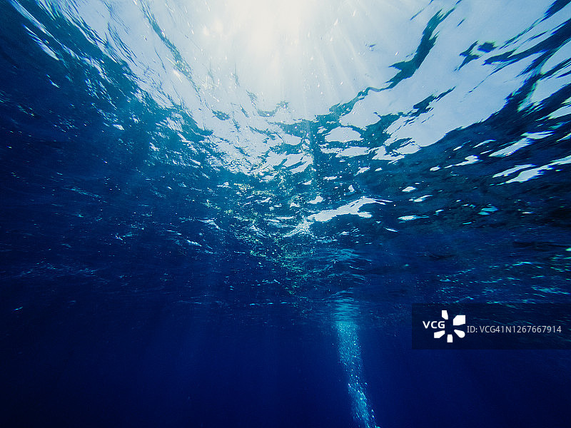 水下潜水、水体结构和阳光图片素材