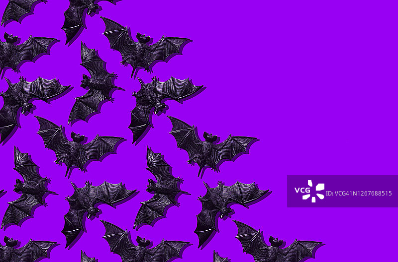 紫色背景上的塑料蝙蝠玩具图片素材