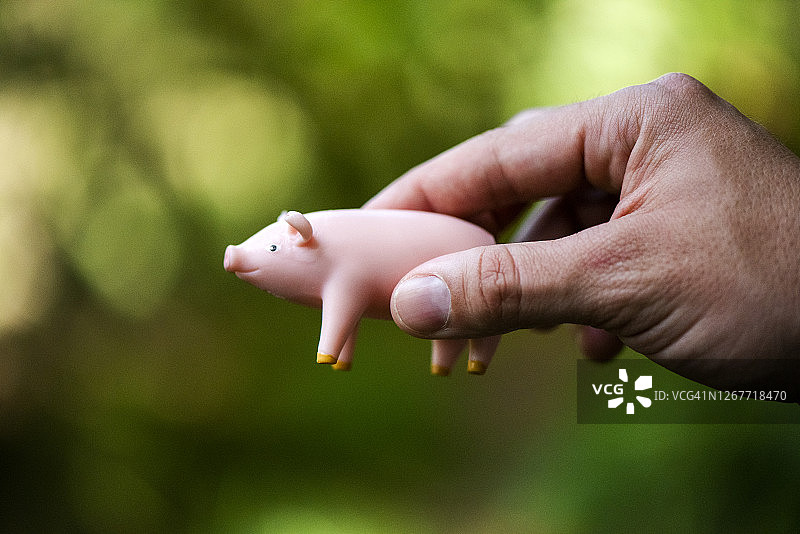 手持小猪的局部图像图片素材