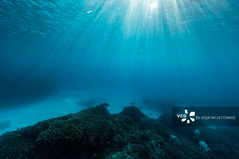 水下景观图片素材