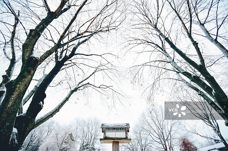 食物短缺：空鸟食槽与冰柱，周围环绕着被白雪覆盖的树木图片素材