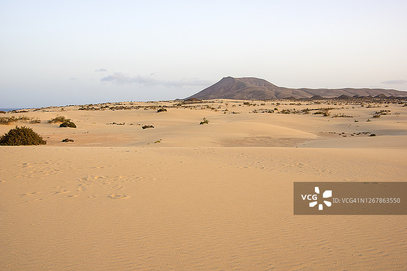 西班牙富埃特文图拉岛科拉莱霍的沙丘图片素材