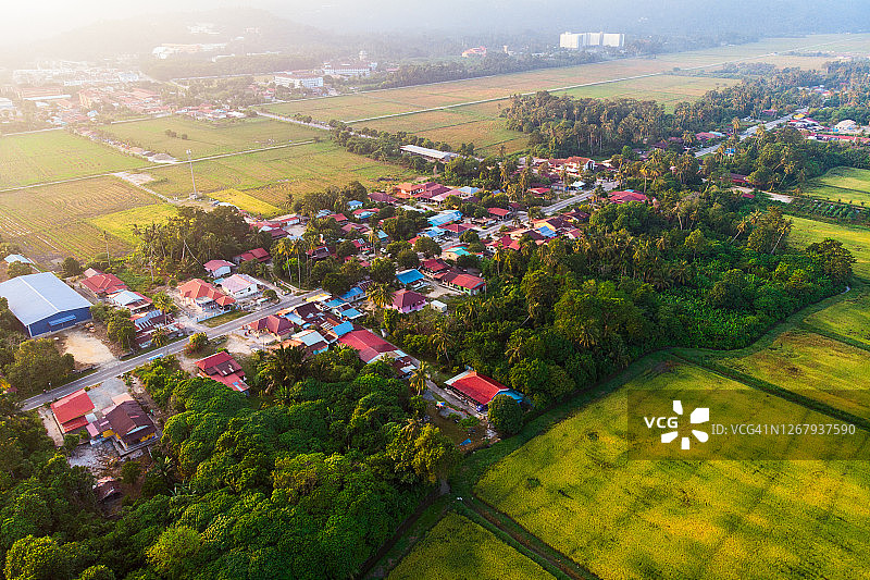 稻田、农舍和住宅区图片素材