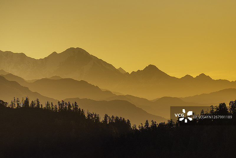 日出时分尼泊尔喜马拉雅山脉的阴影，前景是松科林图片素材