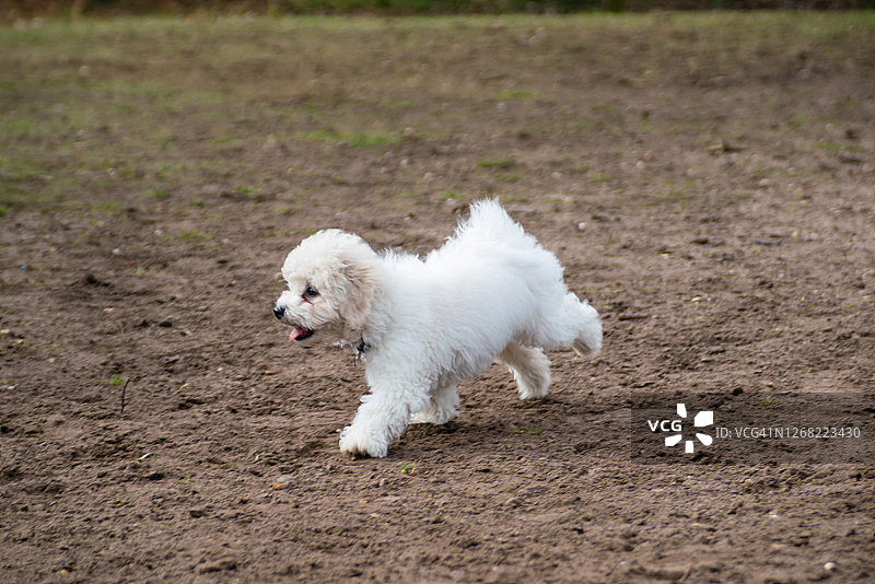 在泥泞中奔跑图片素材