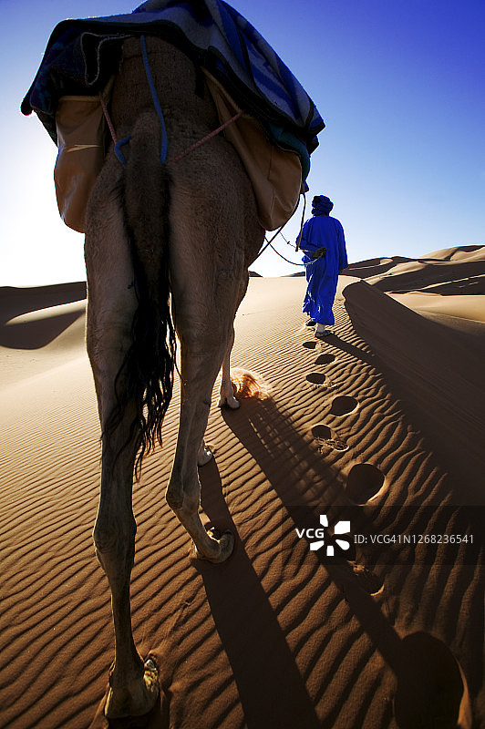 图阿雷格男子身穿蓝色传统长袍，在谢比地区的撒哈拉沙漠中与骆驼合影图片素材