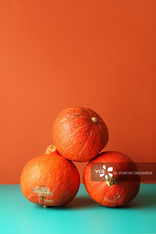 亮橙色和蓝色背景上的南瓜合集万圣节和秋季概念图片素材