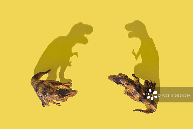 两只霸王龙在黄色背景上搏斗图片素材