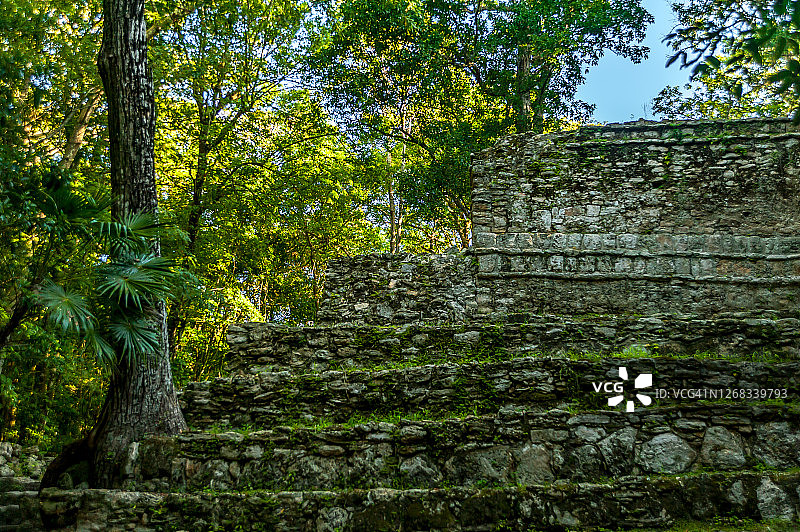 郁郁葱葱的热带森林中的穆伊尔遗址（也称为Chunyaxché）图片素材