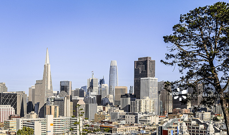旧金山城市天际线图片素材