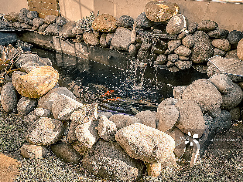 池塘里的鱼图片图片素材