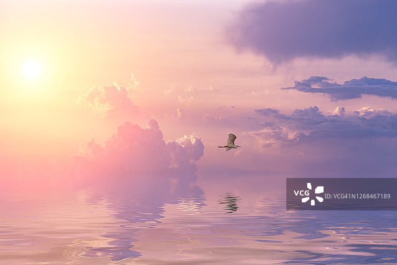 日落时分飞翔的鸟，美丽景色图片素材