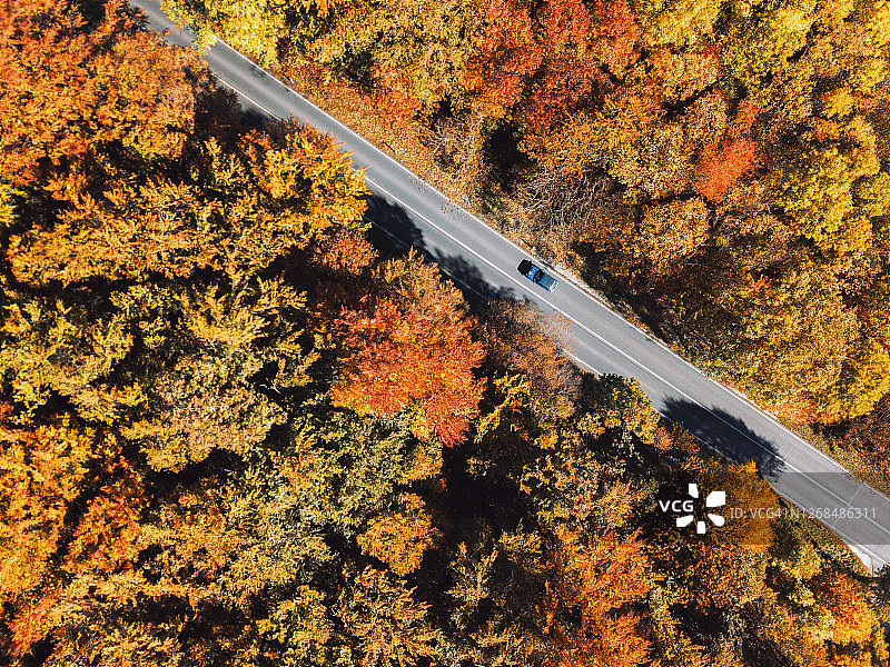 航拍阳光明媚的秋日风光图片素材