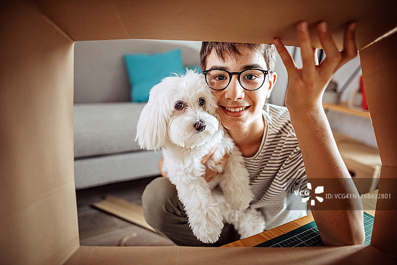 男孩在家用纸板制作狗屋图片素材