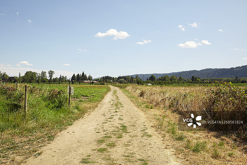 俄勒冈州波特兰市索维岛上的农场远景图片素材
