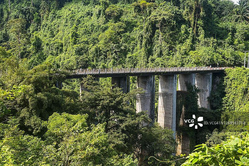 赤道几内亚比奥科岛热带丛林中的公路桥图片素材