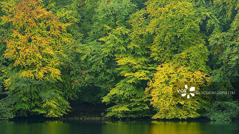 秋季费尔德贝格湖区的施马勒卢津湖景色（德国梅克伦堡-前波美拉尼亚州穆里茨国家公园）图片素材