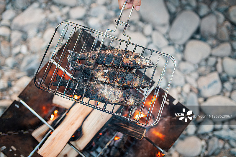 刚捕获的香鱼在篝火上烤制图片素材