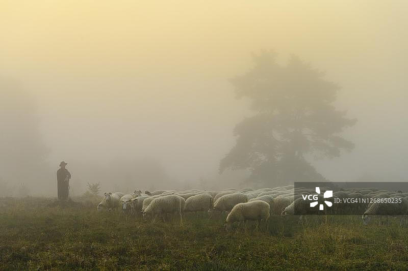 克洛彭堡图尔斯费尔德水坝日出时分的牧羊人与羊群图片素材