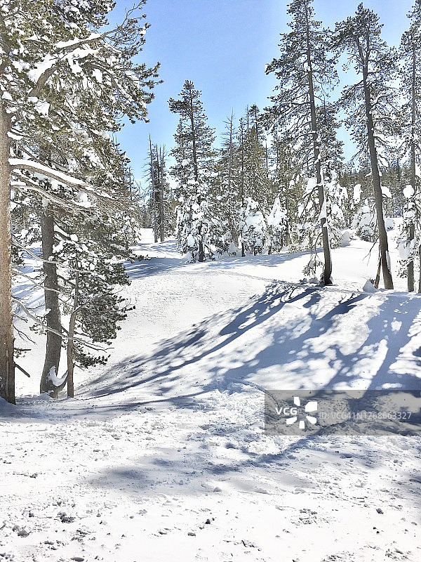 唐纳峰的冬季，加利福尼亚州特拉基图片素材