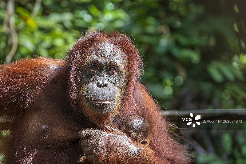 close up图片素材