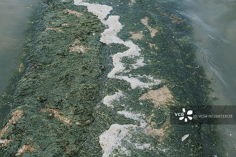 海浪拍打码头激起的海面泡沫图片素材