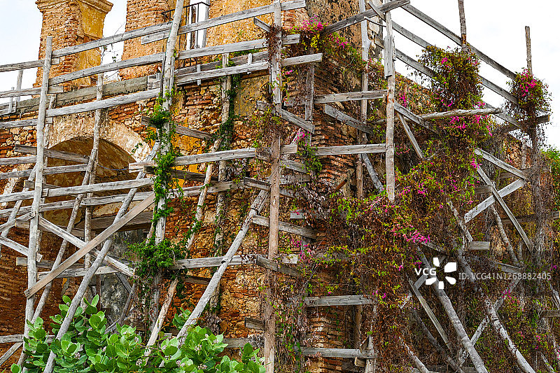 修复中的房屋与鲜花植物图片素材