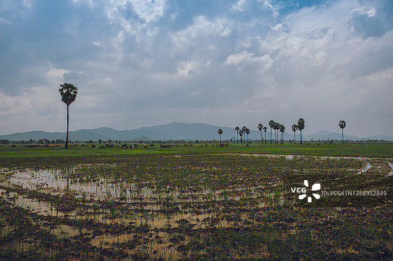 农场风光景色图片素材