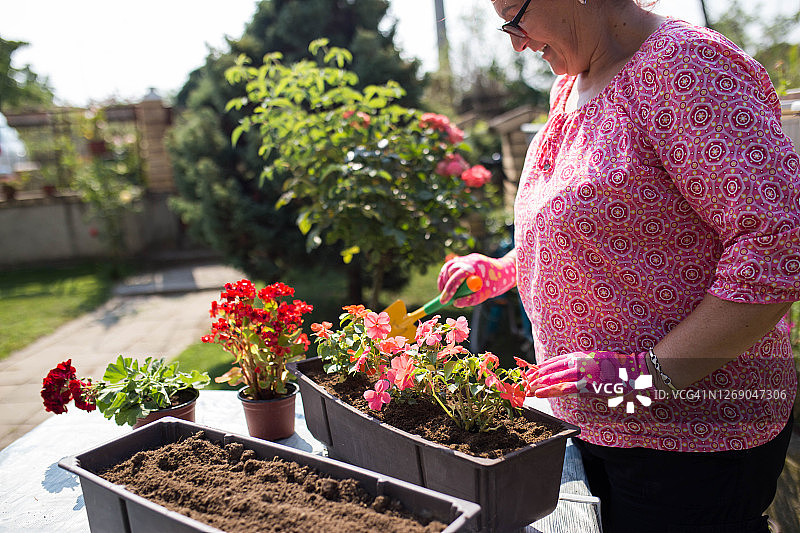 珍爱我的花园图片素材