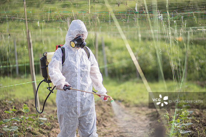 中国女农民身穿防护服在她的种植园里使用手动农药喷雾器图片素材