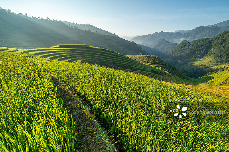 越南北部安沛木江界雨季日出时美丽的绿色稻田梯田图片素材