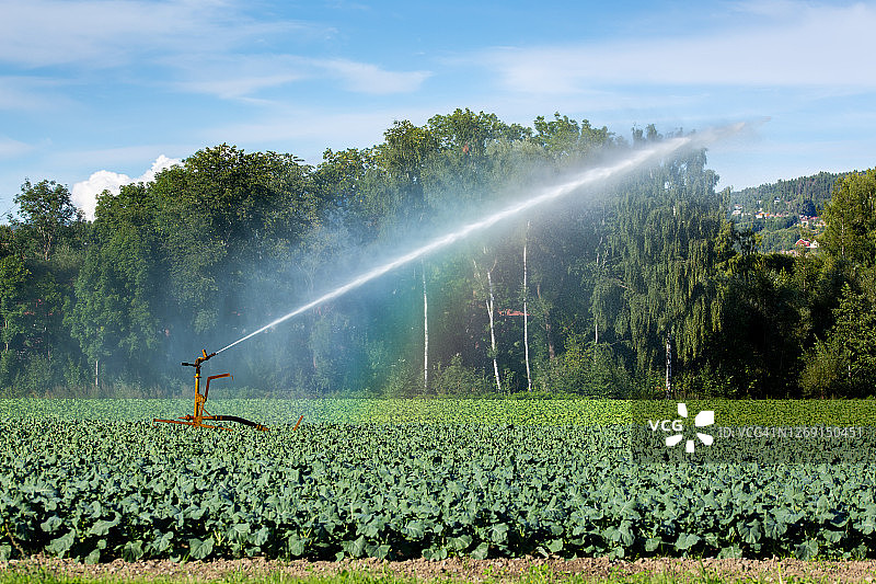 干旱夏日使用的农业喷灌设备图片素材