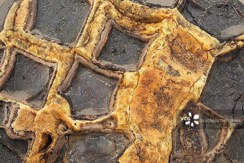 摩拉基海滩巨石特写，新西兰南岛奥塔哥图片素材